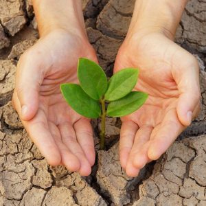 Protect the Environment Protect the Environment