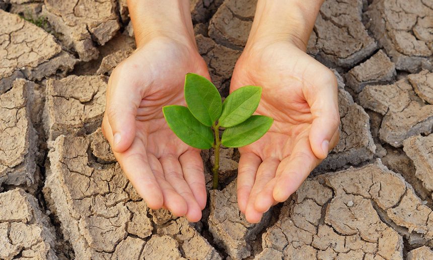 Protect the Environment