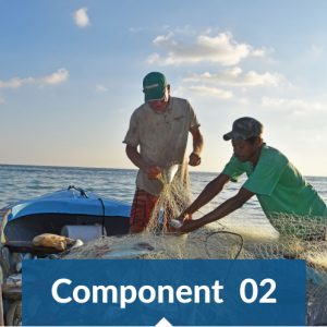 Improved governance of priority fisheries Improved governance of priority fisheries