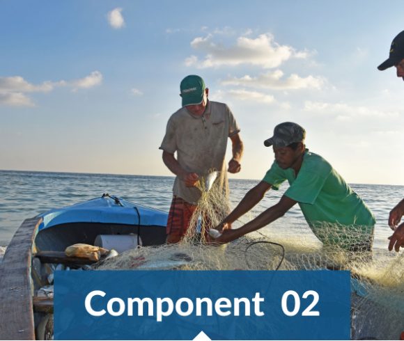 Improved governance of priority fisheries