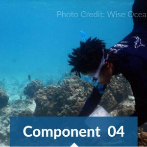 Project management and coordination