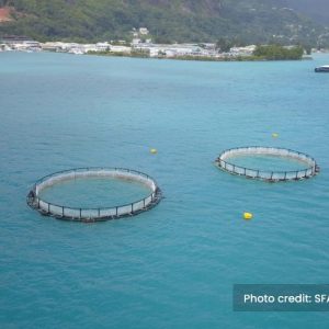 3.Sustainable development of the blue economy