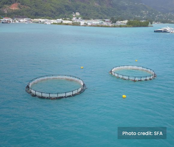 3.Sustainable development of the blue economy