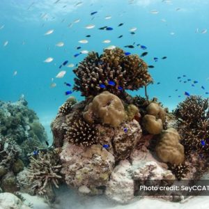 1.Expanded sustainable-use marine protected areas
