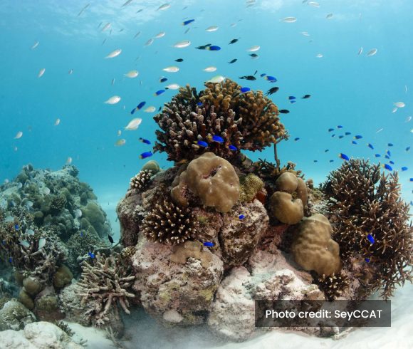 1.Expanded sustainable-use marine protected areas