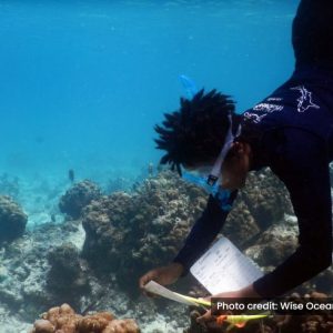 4.Project management and coordination